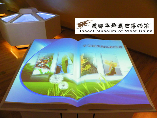 电子翻书导览系统