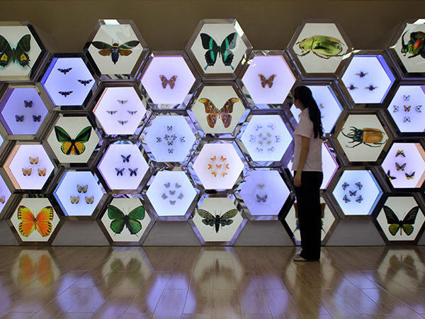 蜂巢展柜