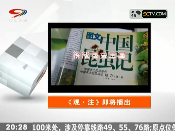 观注：探秘昆虫王国（二）