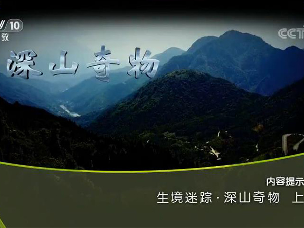 《地理中国》 20171013 生物迷踪·深山奇物（上）