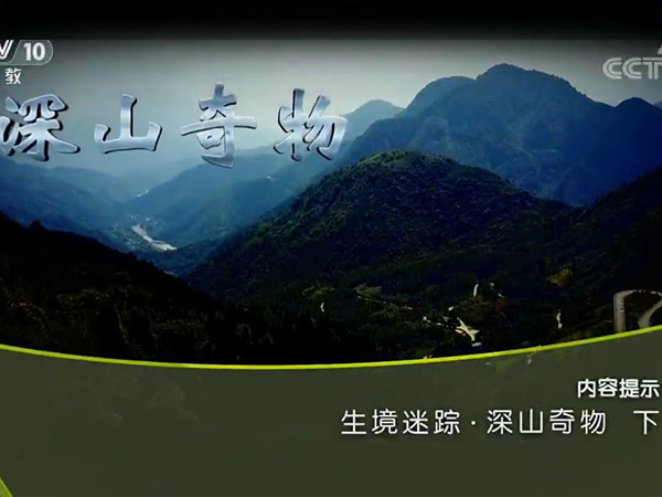《地理中国》 20171014 生物迷踪·深山奇物（下）
