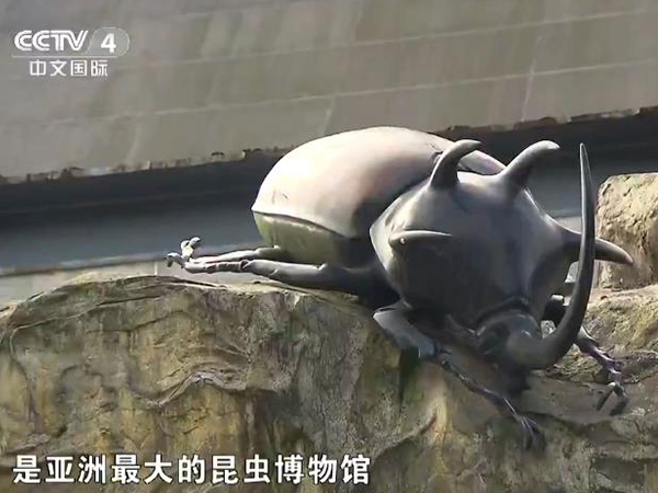 《微观世界里的美妙精灵》