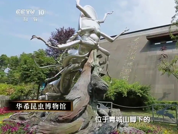 央视《中国影像方志.物种记》介绍我馆
