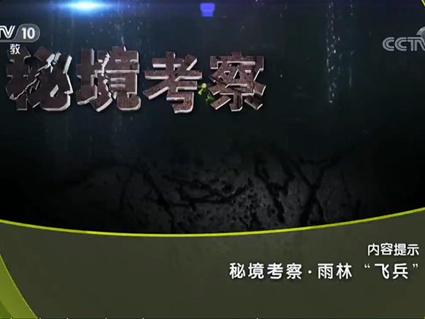《地理中国》 20190424 秘境考察·雨林“飞兵”