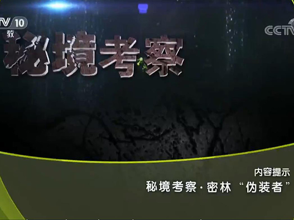 《地理中国》 20190425 秘境考察·密林“伪装者”