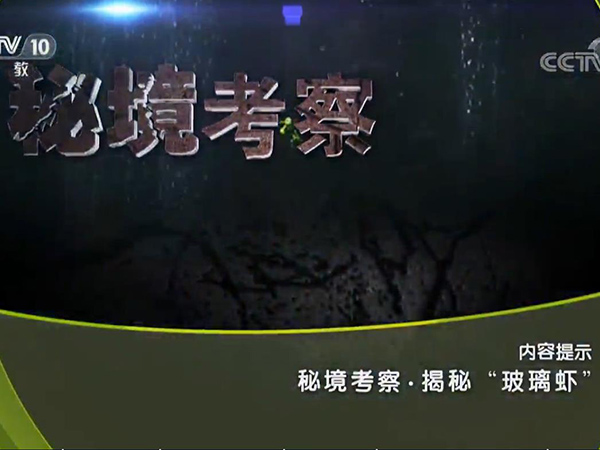 《地理中国》 20190428 秘境考察·揭秘“玻璃虾”